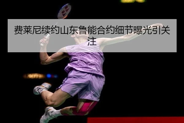 费莱尼续约山东鲁能合约细节曝光引关注