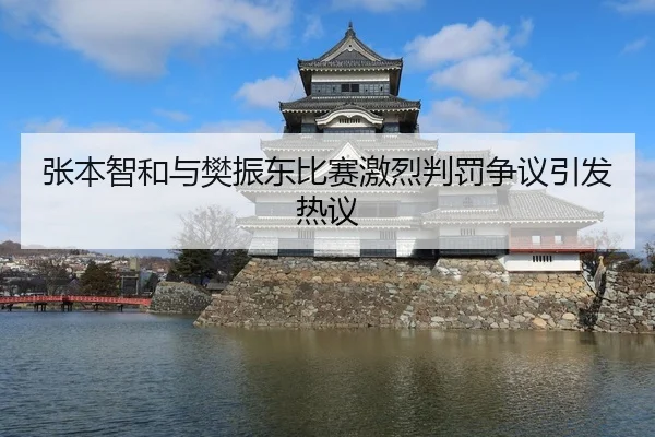 张本智和与樊振东比赛激烈判罚争议引发热议
