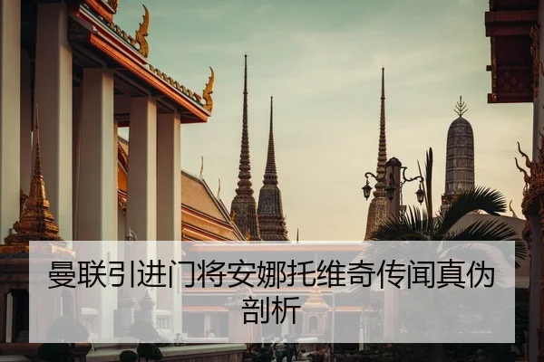 曼联引进门将安娜托维奇传闻真伪剖析